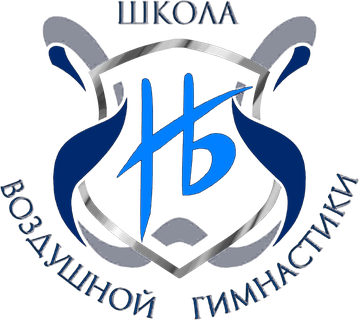 Логотип Школа Натальи Барсуковой
